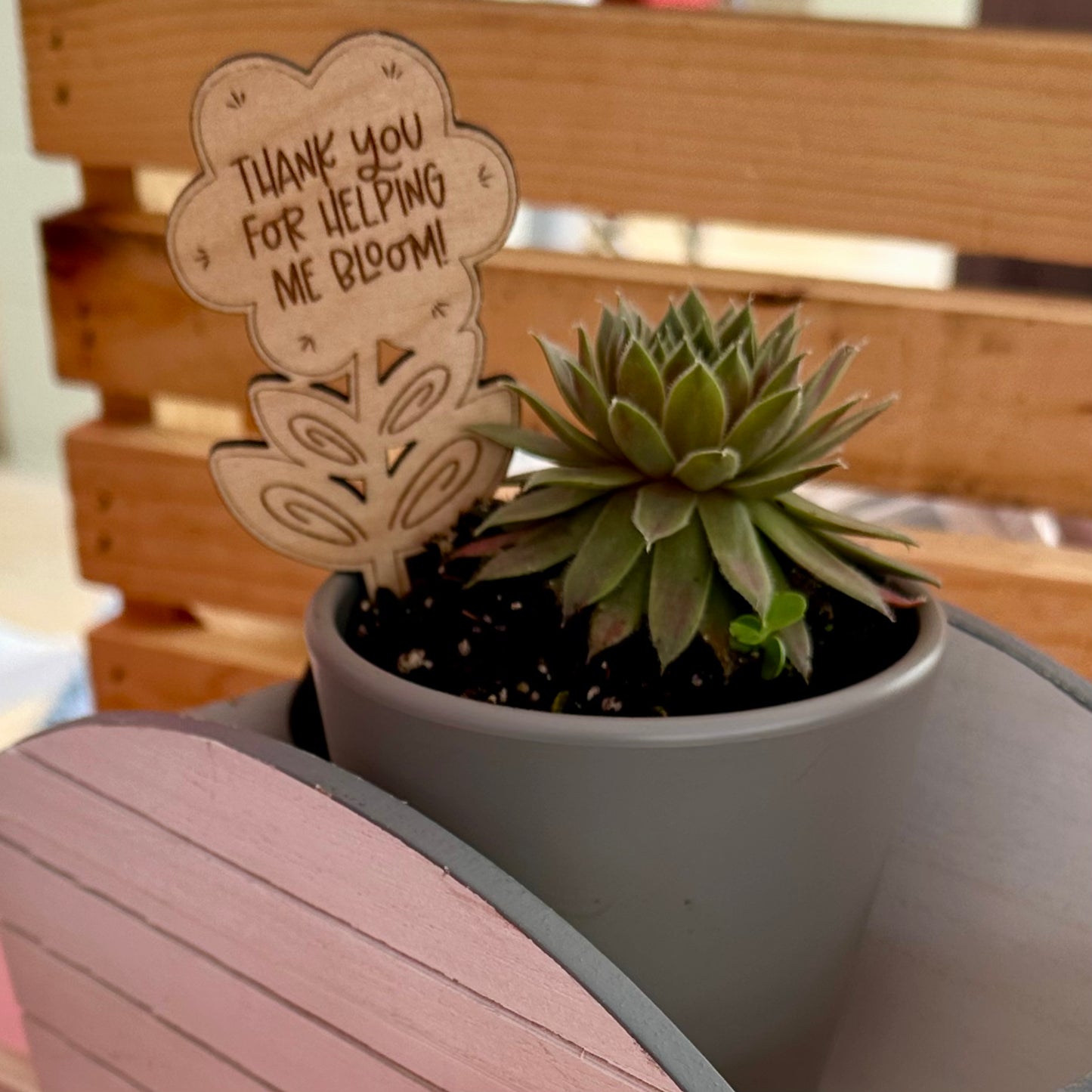 Plant Sticks